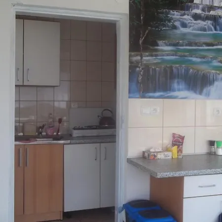 Na Cichej - Losiowka