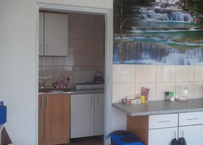 Na Cichej - Losiowka